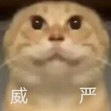 d2e0fd3573a903565802466c934e204a97850a8ad67eaae8584461dca416d4d2.jpg