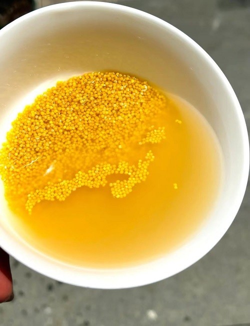 沁州黄有机小米