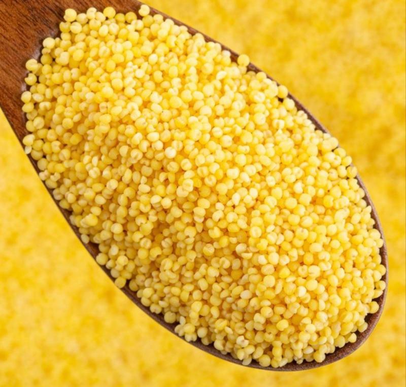 臻选农产品 山西兴县特产小米 500g*1袋