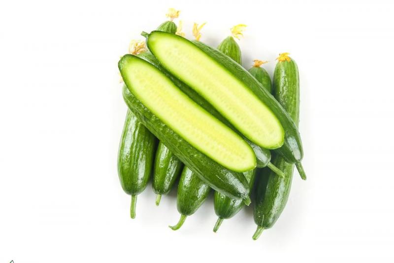 农家现摘水果黄瓜，脆甜爽口即食蔬菜500g*3
