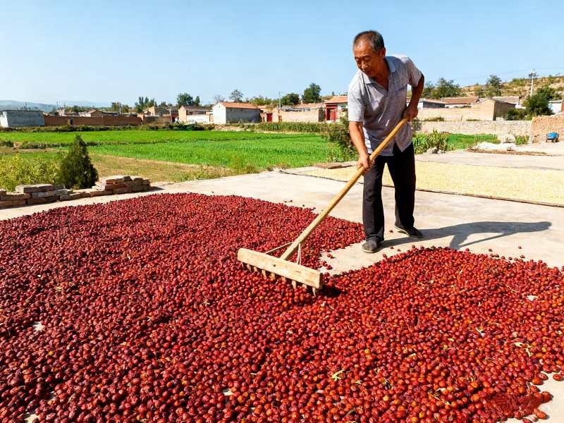 【晋荣】酸枣酸甜可口富含维C250克