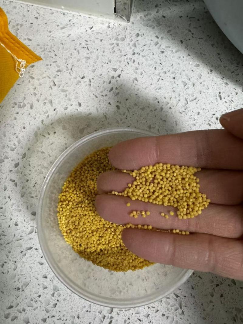 黄灿灿小米 500g*1包