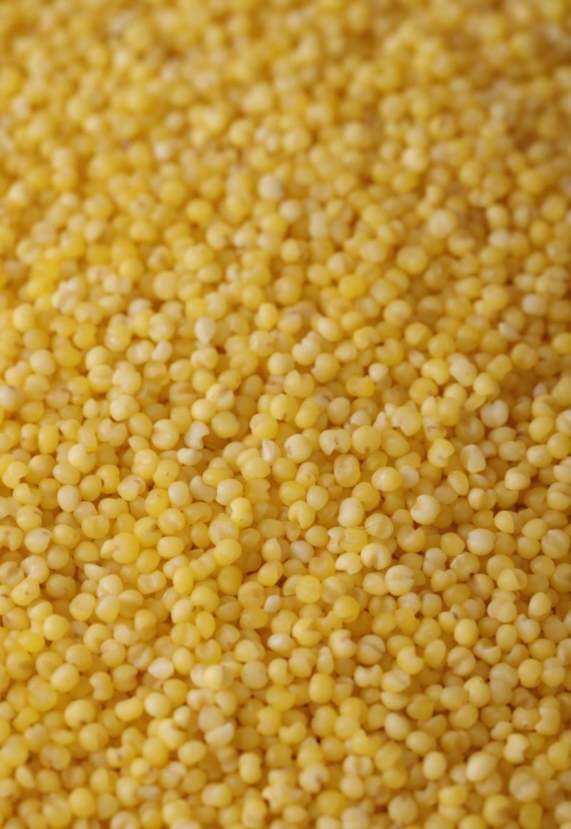 金黄软糯香甜小米 500g*1袋