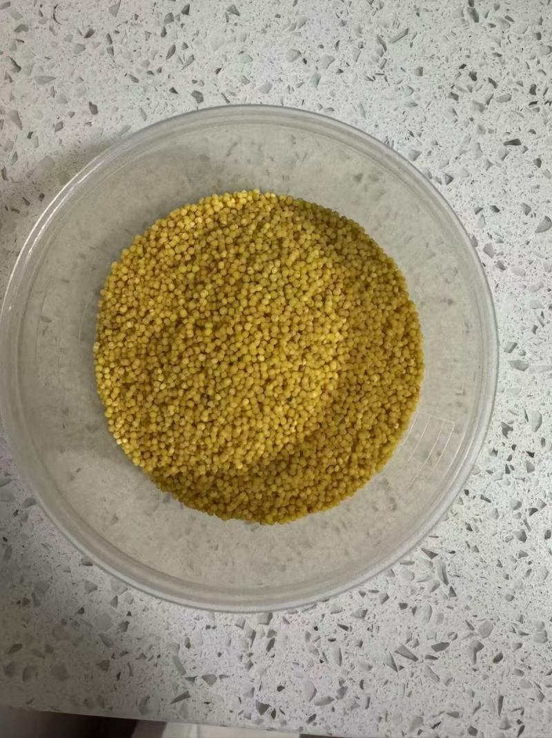 软糯香甜美味可口小米 500g*1包