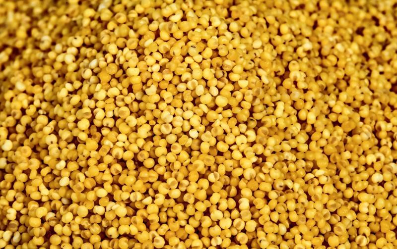 软糯可口小米 500g*1袋