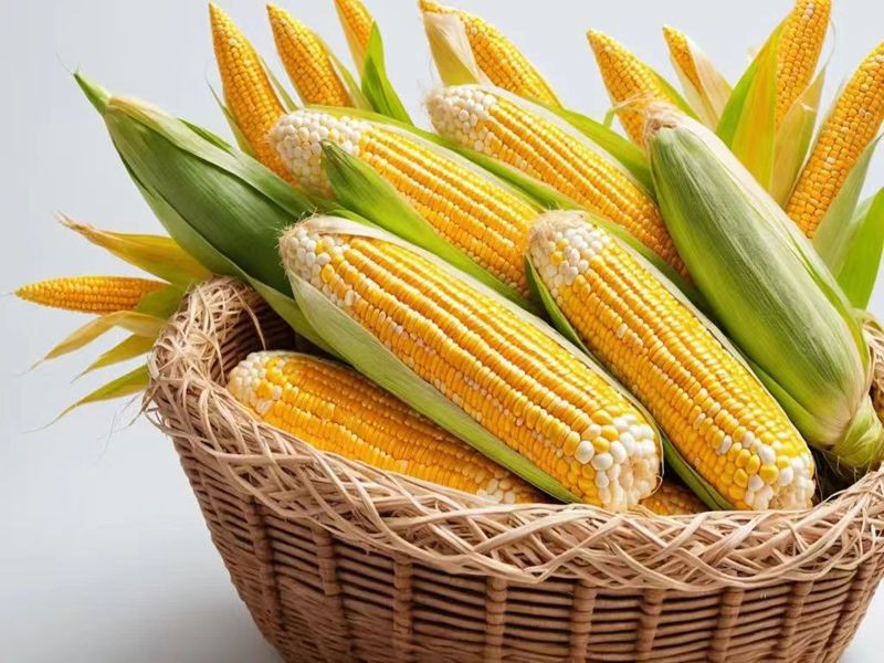 甜玉米胚乳中富含可深性糖分，入口即能感受到自然清甜，且汁水丰富，咀嚼时有爆汁感。