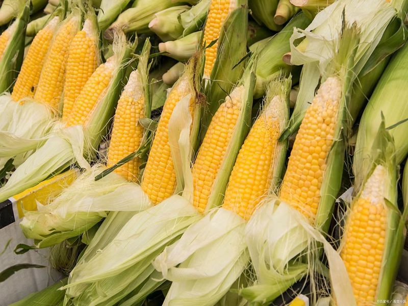 甜玉米胚乳中富含可深性糖分，入口即能感受到自然清甜，且汁水丰富，咀嚼时有爆汁感。