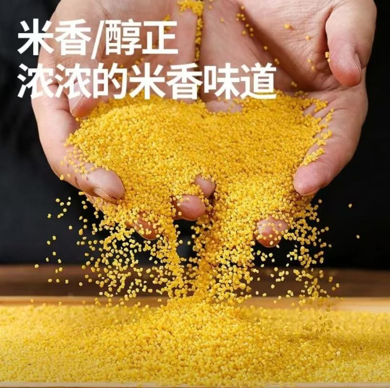 山西黄小米2025新米农家精品糯小米