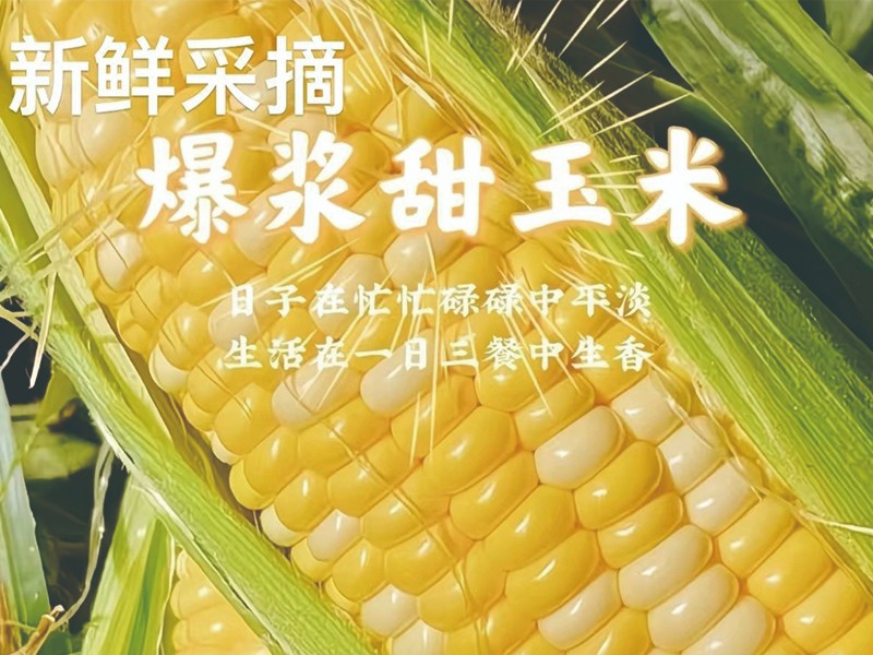 带皮甜玉米新鲜现摘当季孕妇苞谷大棒子整箱非转基因5斤七斤