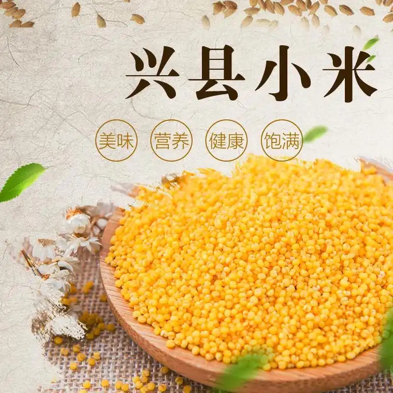 兴县小米，兴县杂粮，中国好粮