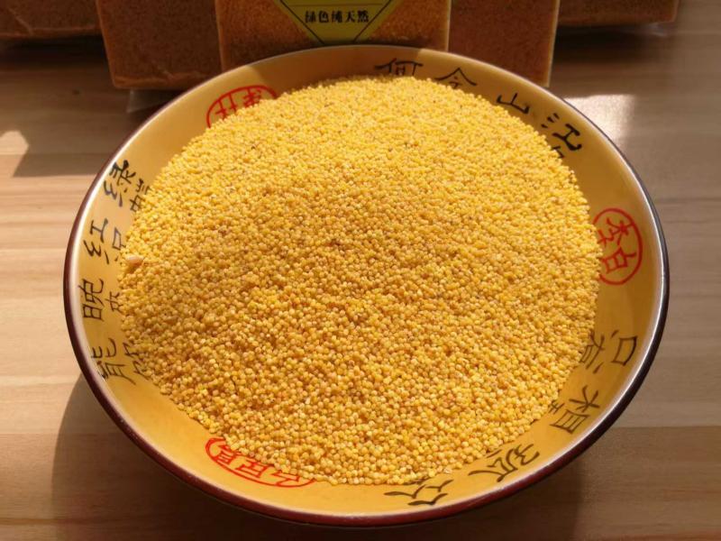太行小米