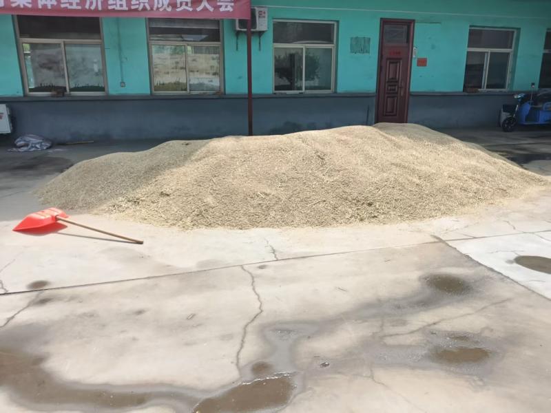 自产小麦原粮出售