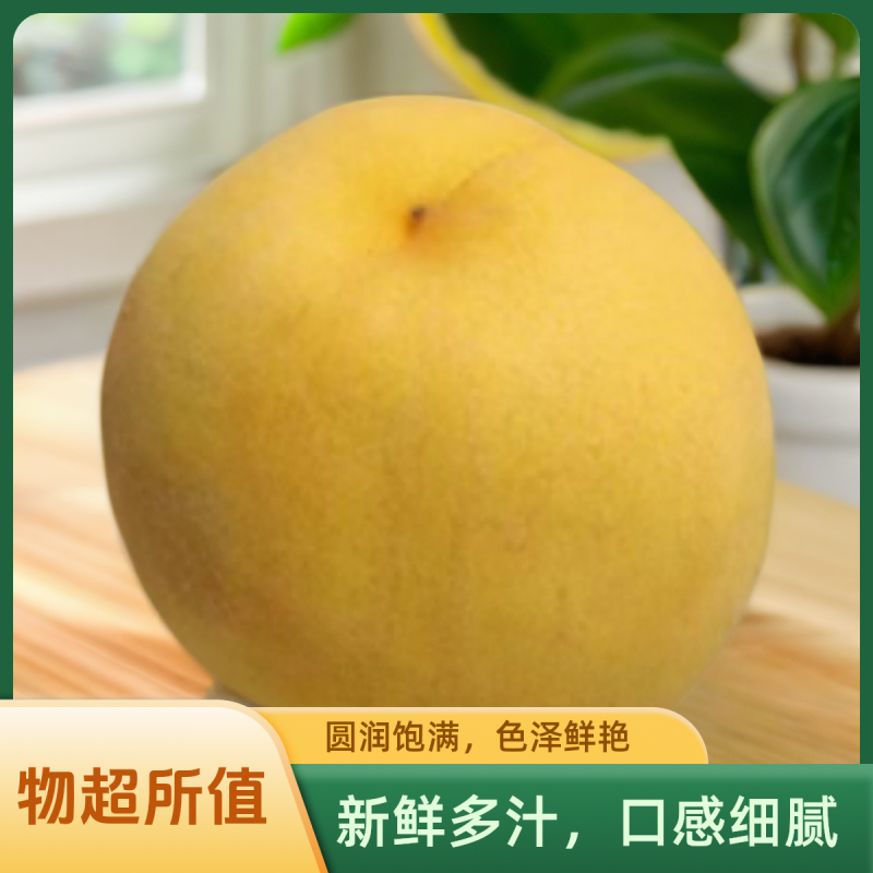 【刘武强果业】新鲜黄桃甜润多汁果肉紧实果园直发老少咸宜