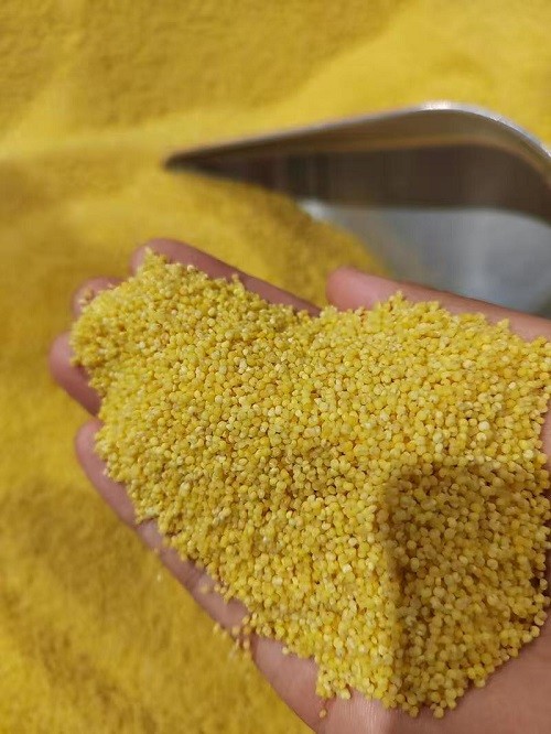 沁州黄有机小米