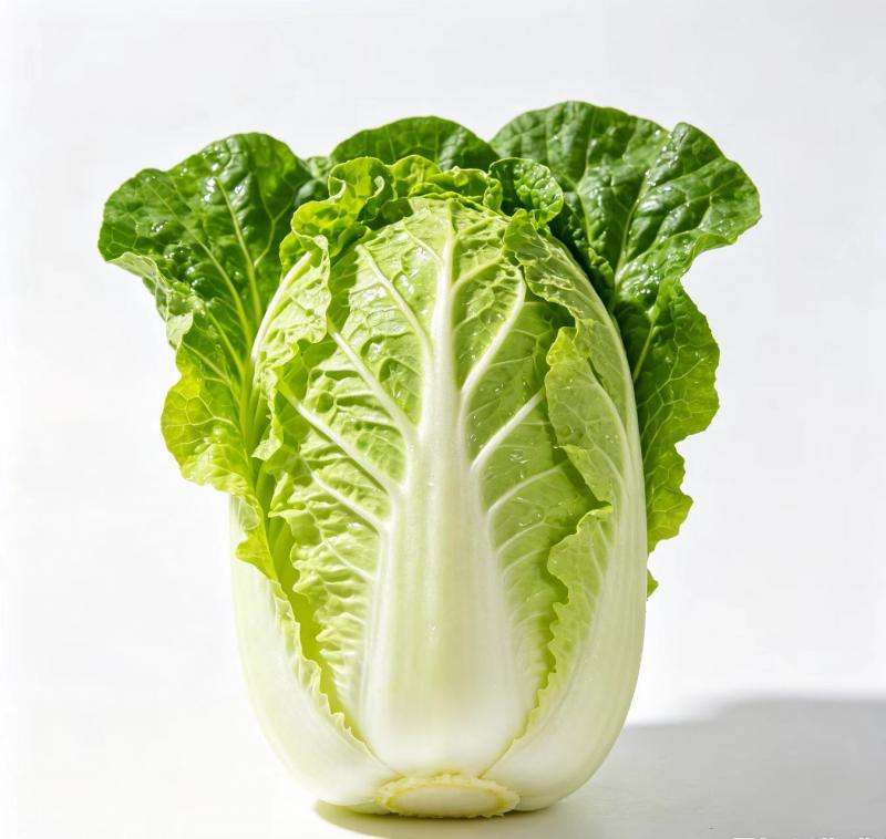 本土大白菜，自然原生态