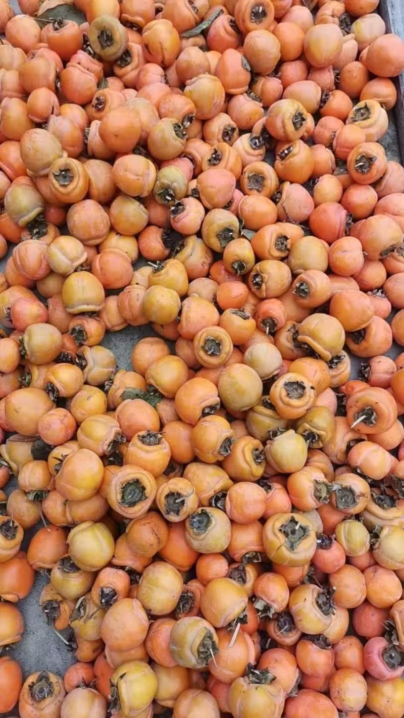 杂粮，柿子，小米，玉米面，核桃