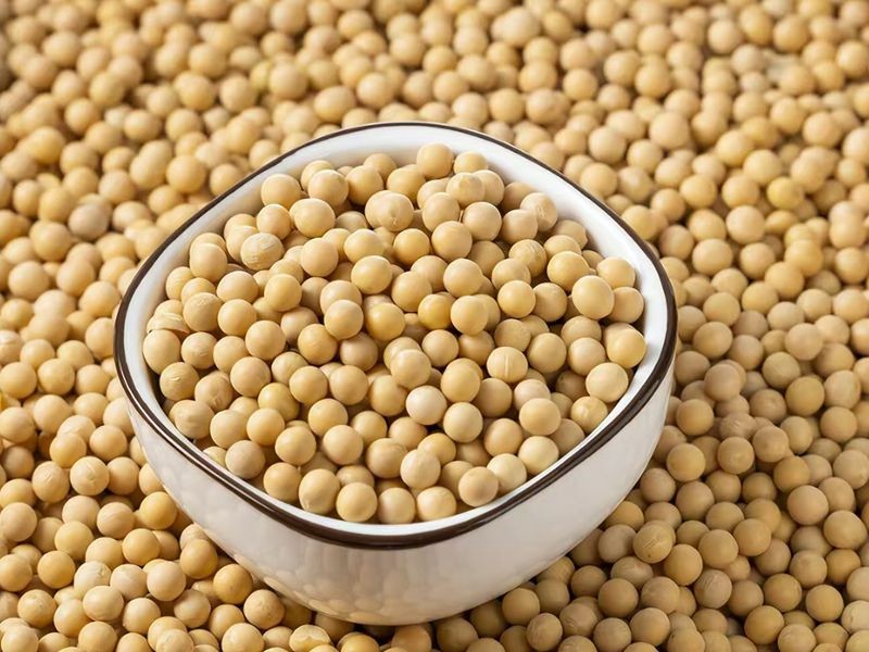 纯天然绿色养生食品