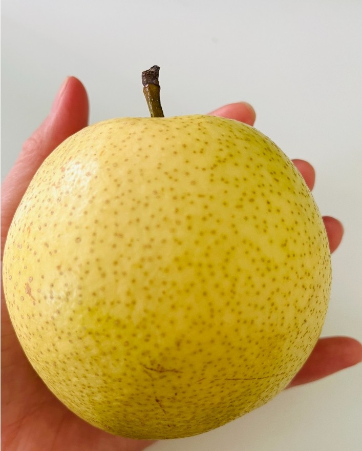 山西特产晋蜜梨5斤装 当季新鲜水果 细脆多汁浓甜带香 现摘现发