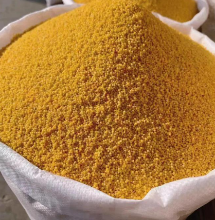 【晋谷源】沁州黄小米古法种植颗粒饱满易熬煮长治特产 500g