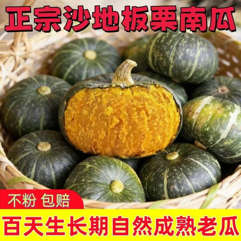 长治老顶山沙地板栗南瓜 5 斤装 自然粉糯老南瓜 宝宝低脂辅食代餐贝贝南瓜