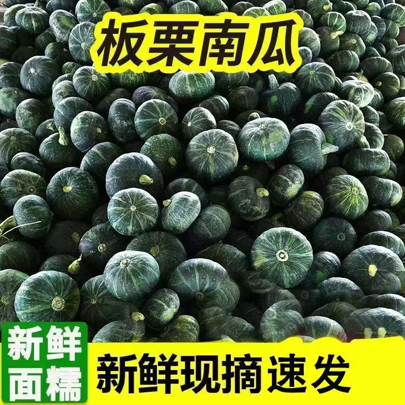 长治老顶山沙地板栗南瓜 5 斤装 自然粉糯老南瓜 宝宝低脂辅食代餐贝贝南瓜