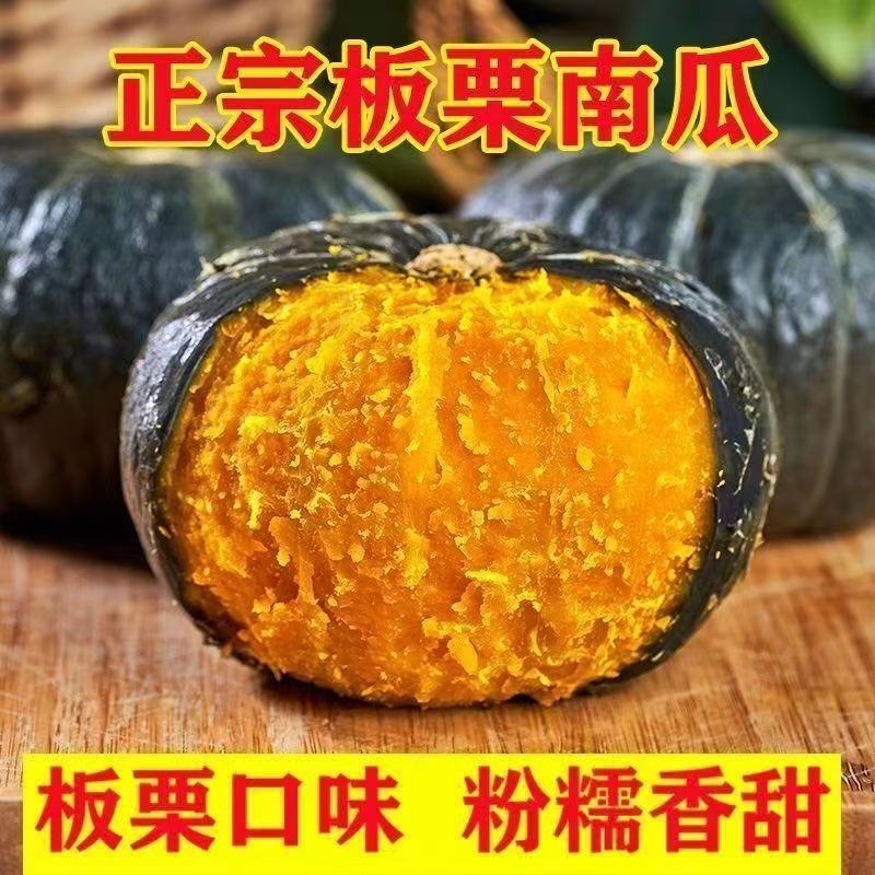长治老顶山沙地板栗南瓜 5 斤装 自然粉糯老南瓜 宝宝低脂辅食代餐贝贝南瓜