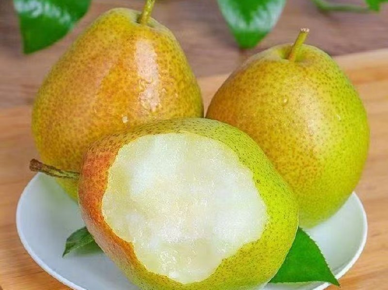 和帅果业，红香酥梨，脆甜香润；精选现摘，坏果包赔5斤