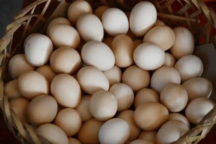 农家鸡蛋