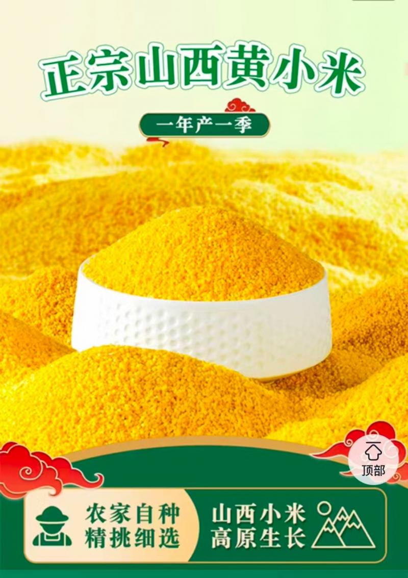 当季新出，营养丰富