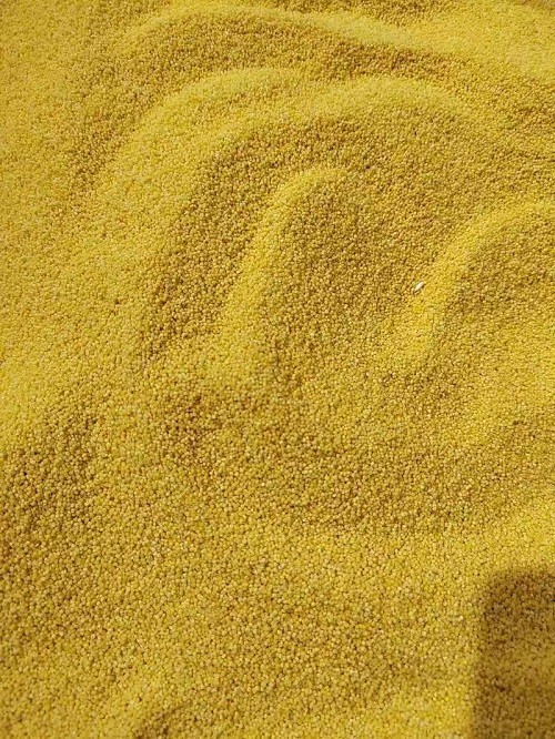 沁州黄有机小米