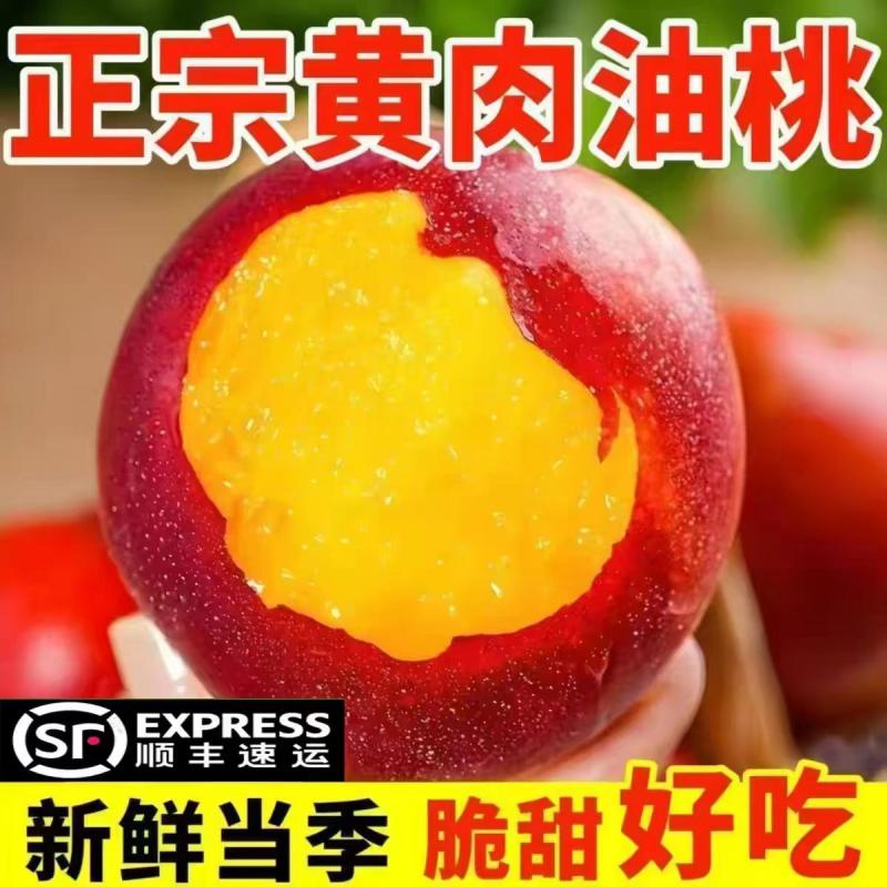 当季头茬新鲜美味