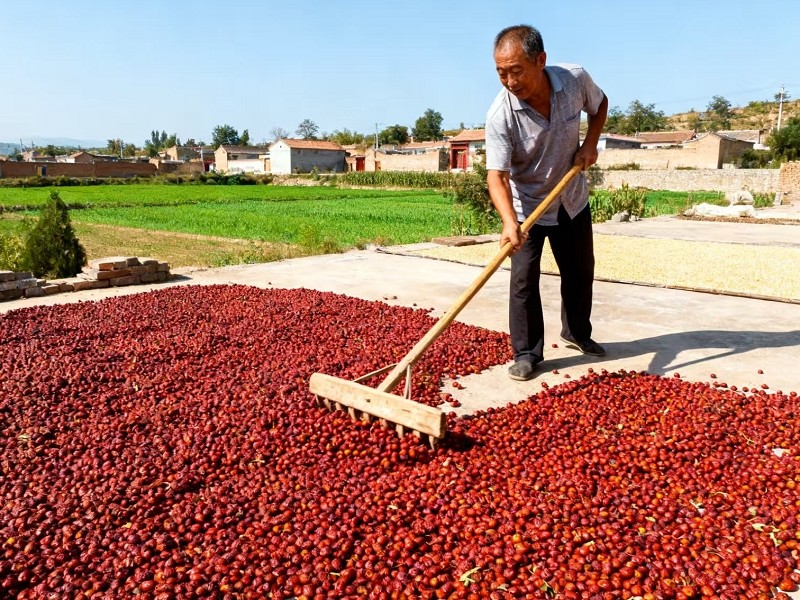 【晋荣】酸枣酸甜可口富含维C250克