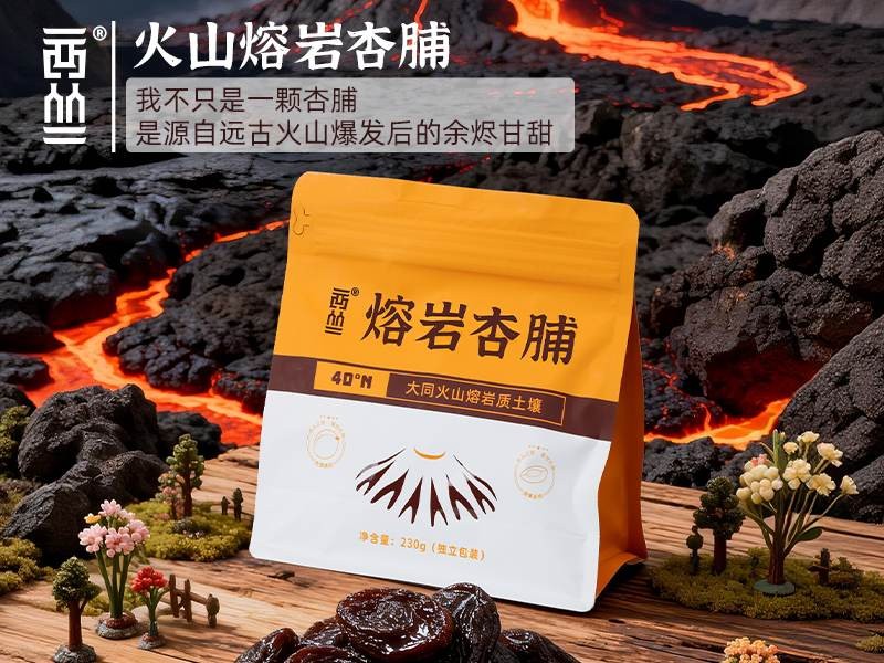 【西从】阳高杏脯酸甜适口经济实惠无添加230g【校园助农】