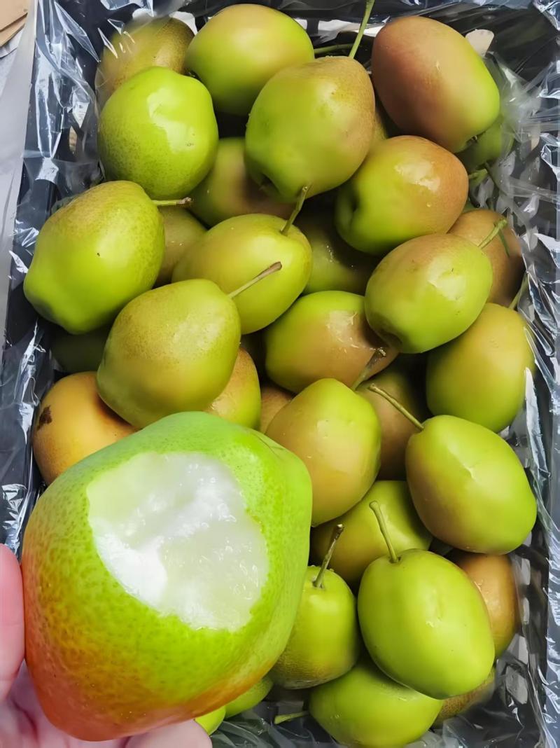 磊磊果品出品必精品