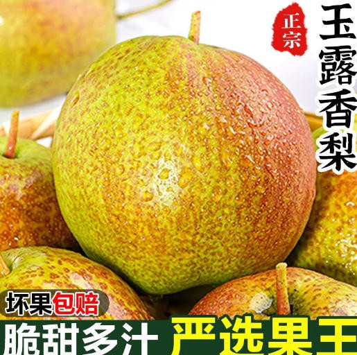 正宗山西玉露香梨新鲜水果梨子