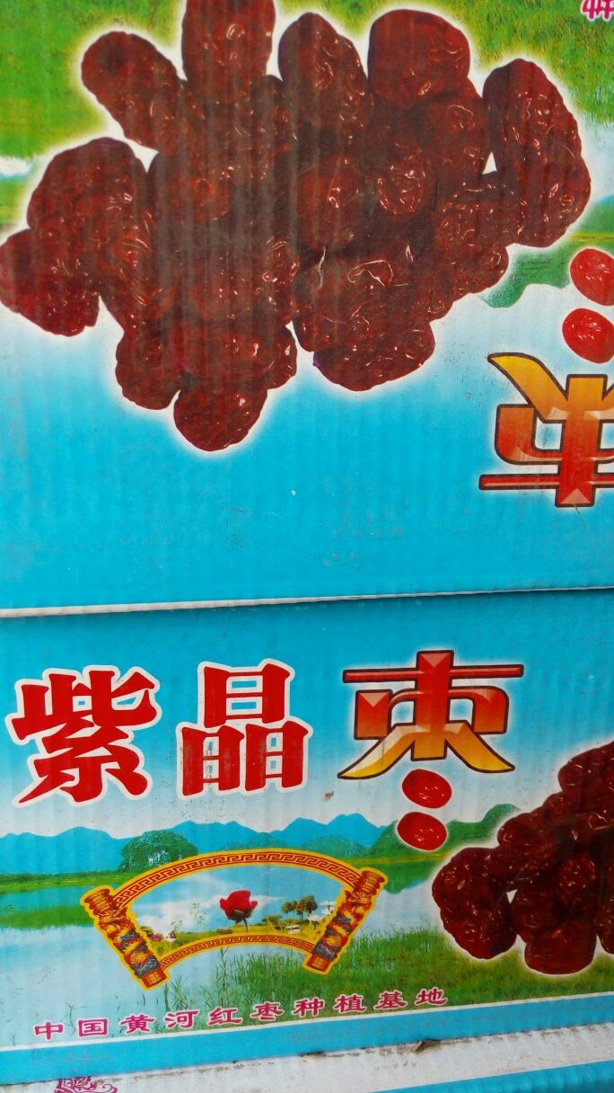 紫晶枣  兴县特产 枣到福到