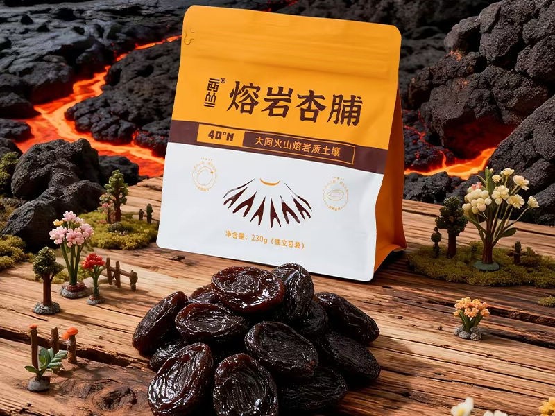 【西从】阳高杏脯酸甜适口经济实惠无添加230克