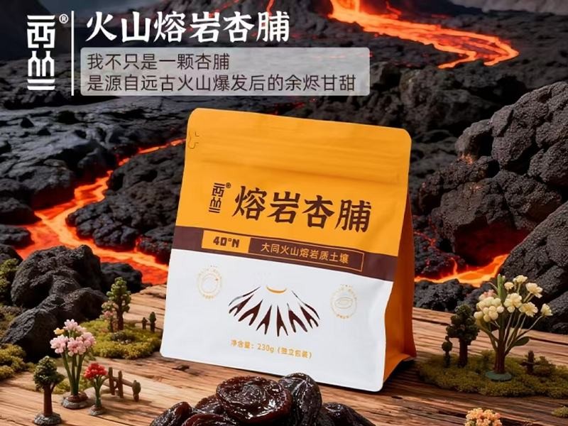 【西从】阳高杏脯酸甜适口经济实惠无添加230克