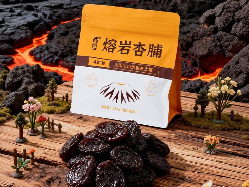 【西从】阳高杏脯酸甜开胃经济实惠无添加230克