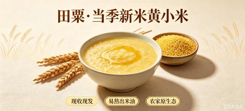 正宗山西黄小米，无添加新鲜谷物，熬粥香稠