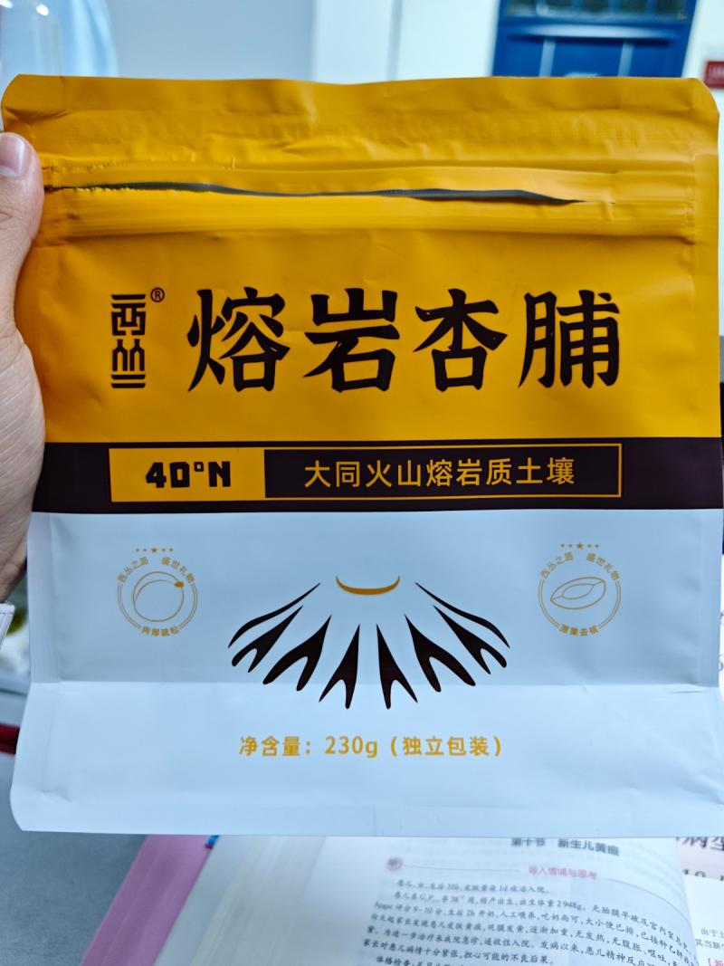 【西从】阳高杏脯酸甜适口经济实惠无添加230克