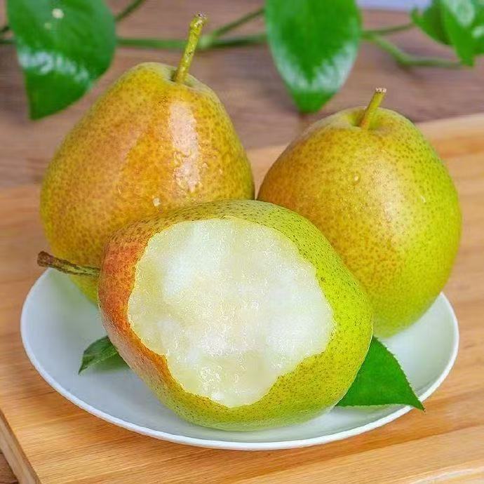 公司简介图片（产品特点）.jpg