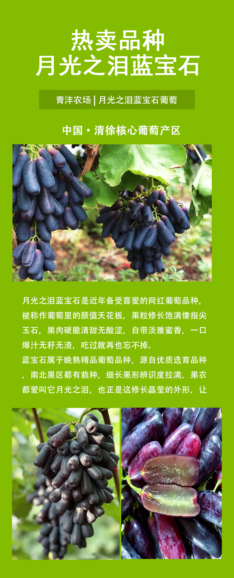 蓝宝石产品详情图3.png