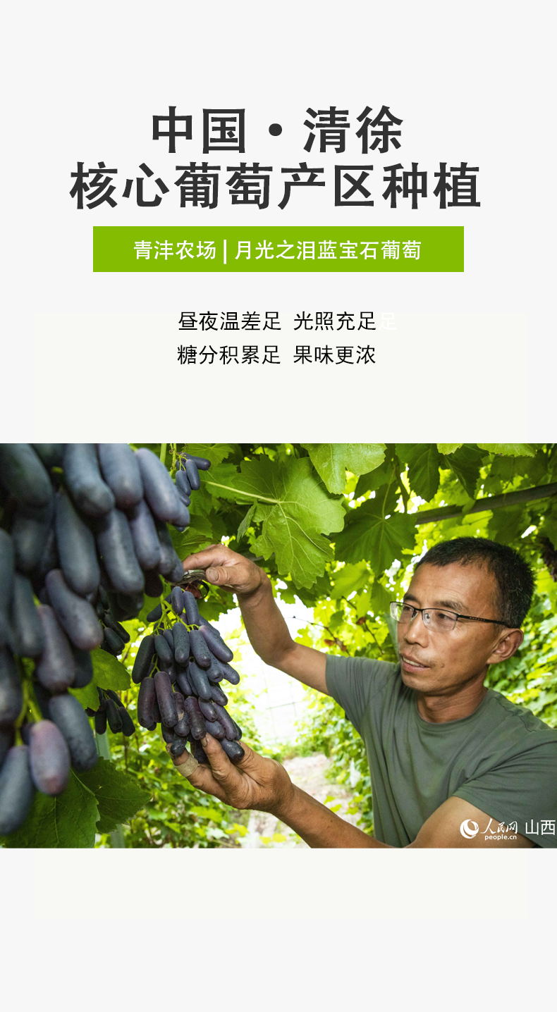 蓝宝石产品详情图4.png
