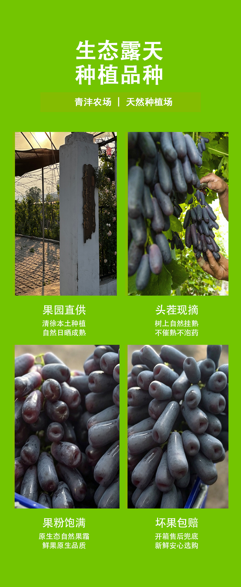 蓝宝石产品详情图5.png