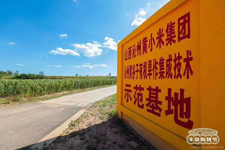 基地图.jpg