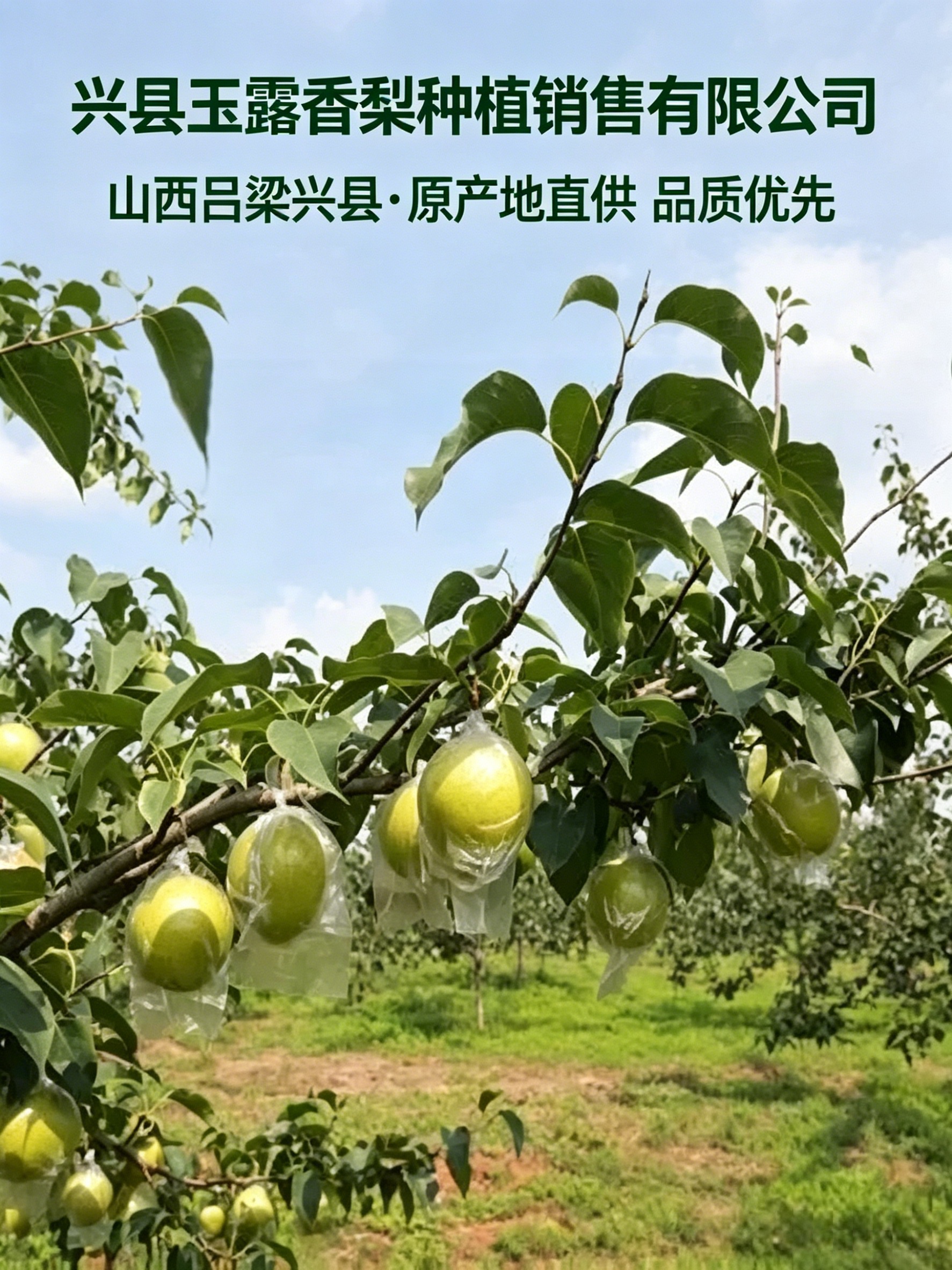 微信图片_20260528192929_207_8.jpg