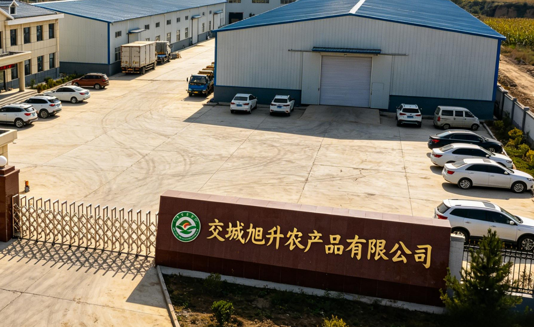 公司.jpg