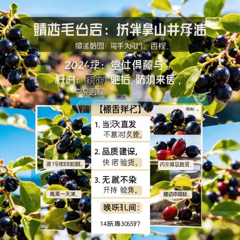 888dc3fedc6674b70e01fb043df99a3f.jpg