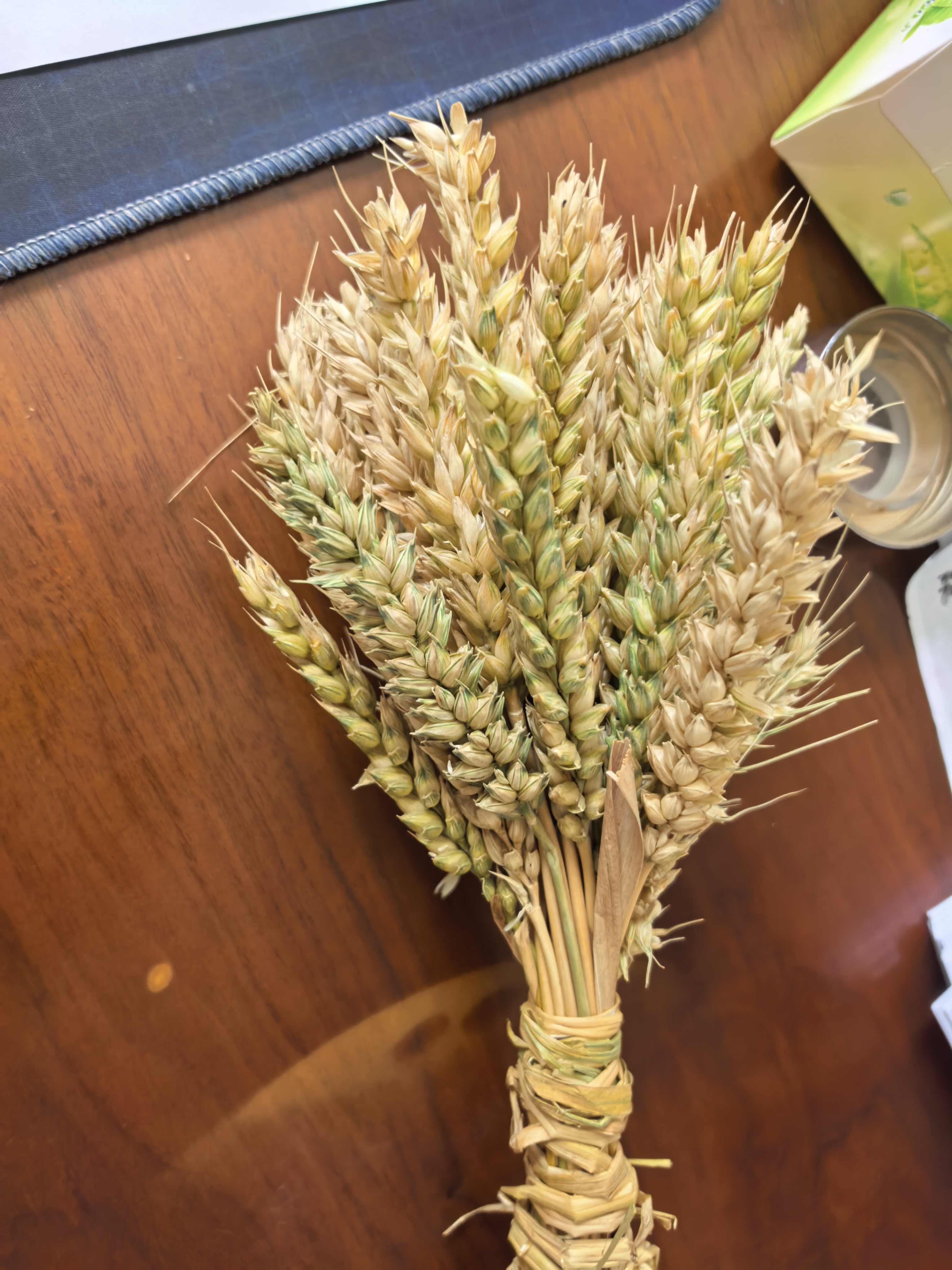 8a08f0adf52c8c0869cfc325f841d9dc.jpg
